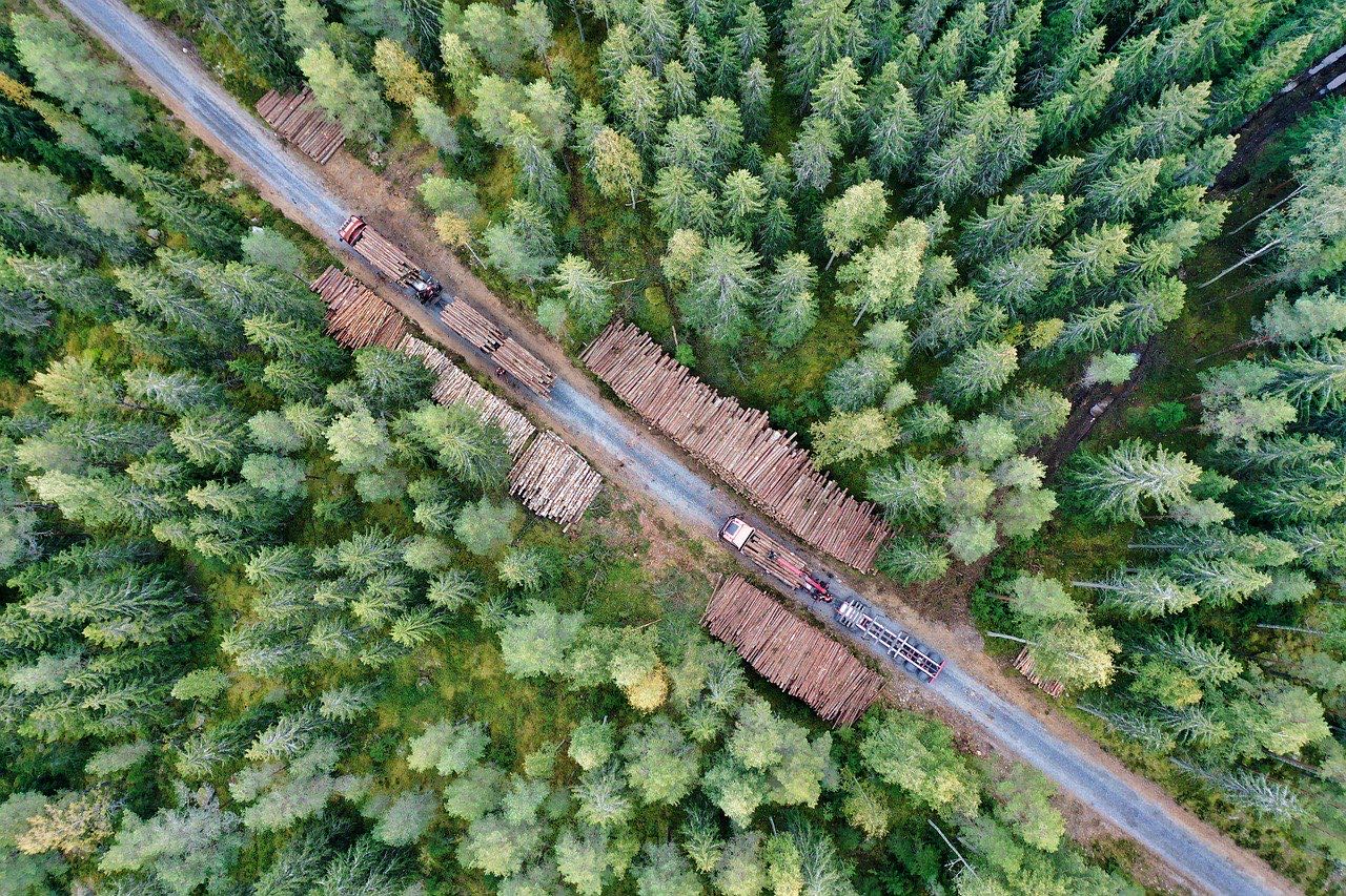 Timber operations aerial view